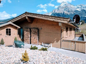 Cozy Scenic Family Chalet Gstaad Glacier 3000